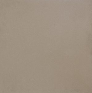ARCHITECT ASH POLISHED